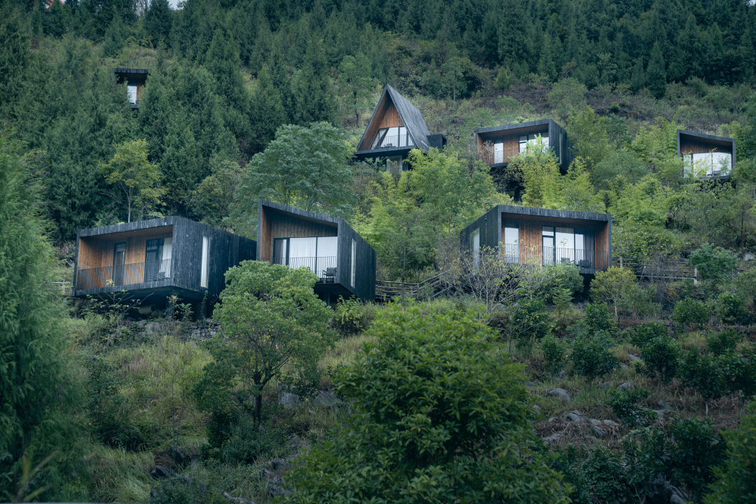 大發(fā)天渠 星空木屋  感受山野.jpg