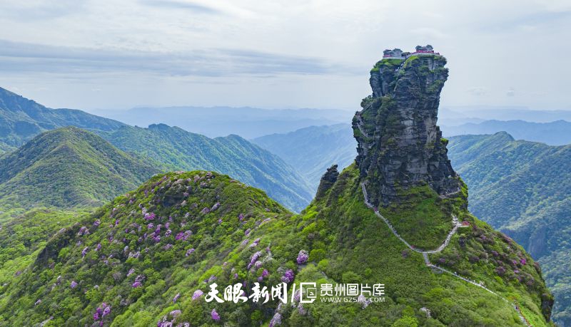 746471-5月6日在貴州省銅仁市梵凈山景區(qū)拍攝的杜鵑花（無人機(jī)照片）。.jpg