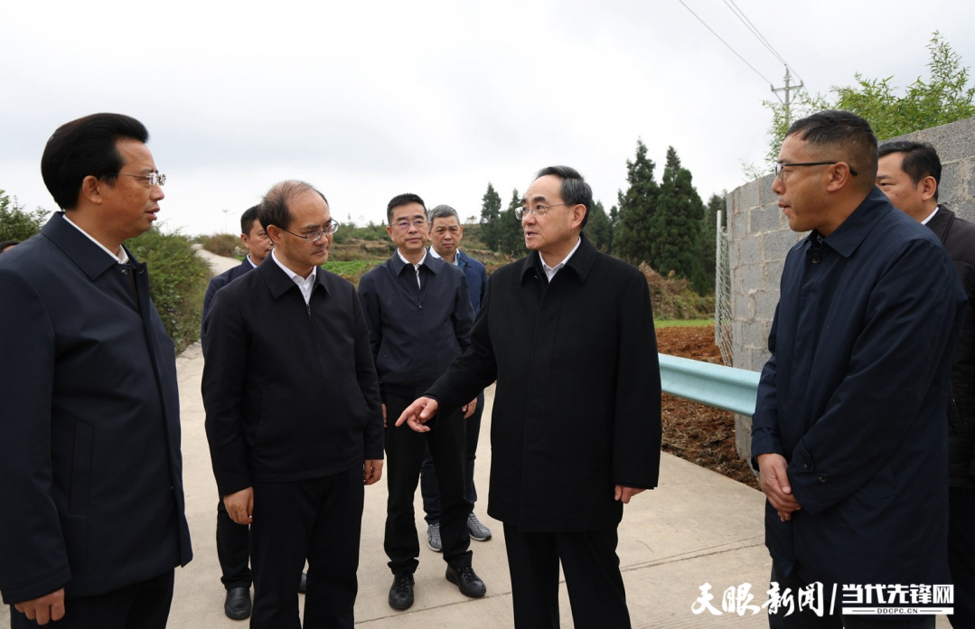 圖為徐麟在盤州市兩河街道花家莊村，了解當(dāng)?shù)乩暹\(yùn)處置情況。.jpg